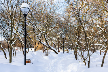 Similar image 22529649