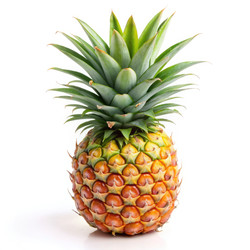 Similar image 22538490