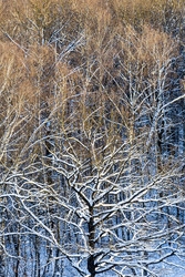 Similar image 22528842