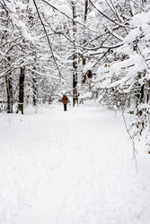 Similar image 22528987