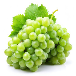 Similar image 22537827