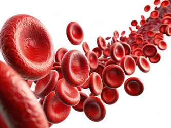 Similar image 22537979