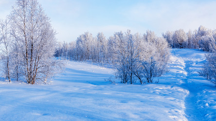 Similar image 22529310