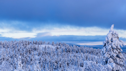 Similar image 22529312