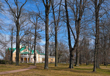 Similar image 22531852