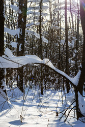 Similar image 22529469