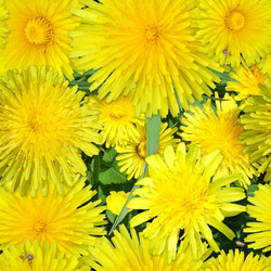 Similar image 22532030