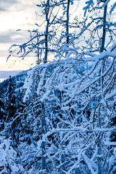 Similar image 22529513