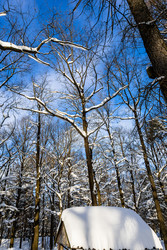 Similar image 22529706