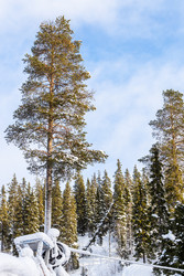 Similar image 22529724