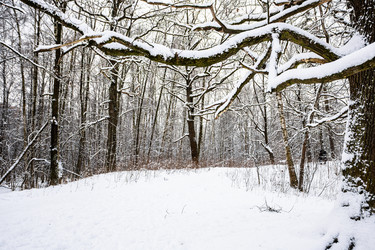 Similar image 22529796