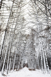 Similar image 22529840