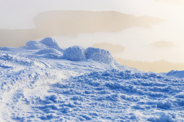 Similar image 22529842