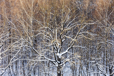 Similar image 22529862