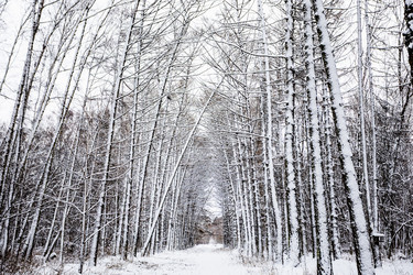 Similar image 22529881