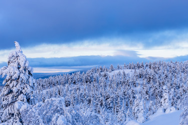 Similar image 22529883