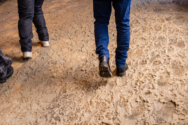 Similar image 22528795