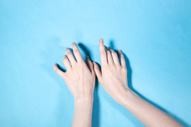 Similar image 22528821