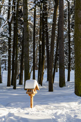 Similar image 22528822