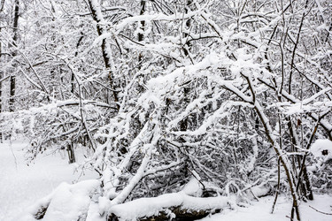 Similar image 22528827