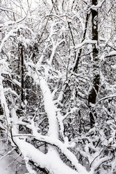 Similar image 22528829