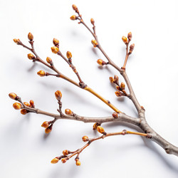 Similar image 22537801