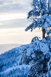 Similar image 22529042