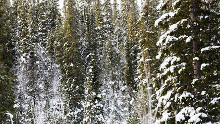 Similar image 22529158