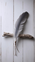 Similar image 22541975