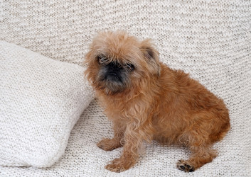 Similar image 22531615