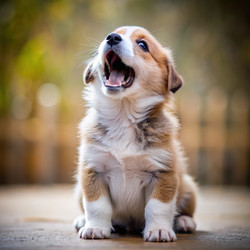 Similar image 22538145