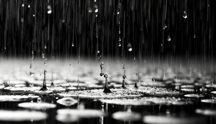 Similar image 22558175