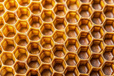 Similar image 22538399