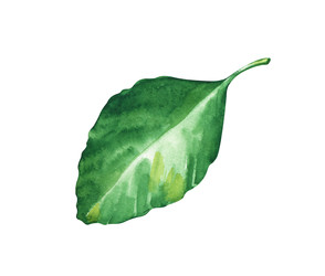 Similar image 22583003