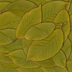 Similar image 22532475