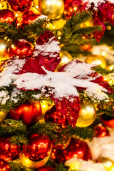 Similar image 22529864