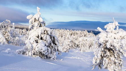 Similar image 22529933