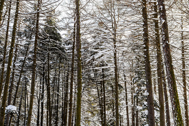 Similar image 22528990