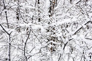 Similar image 22528993