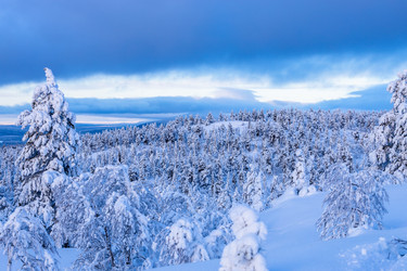 Similar image 22529014