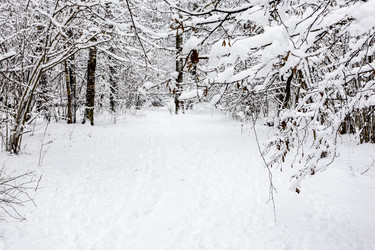 Similar image 22529016