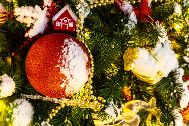 Similar image 22529134