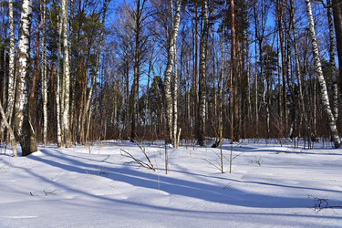 Similar image 22527657