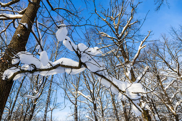 Similar image 22529223