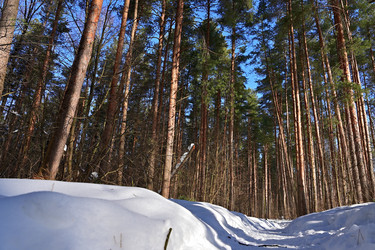 Similar image 22527672