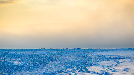 Similar image 22529845