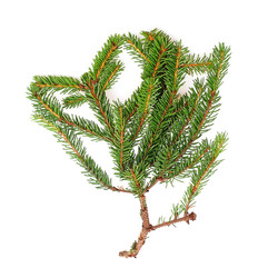 Similar image 22530046