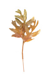 Similar image 22530220