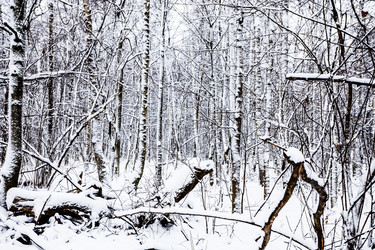 Similar image 22529108