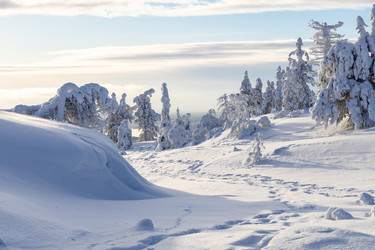 Similar image 22529160